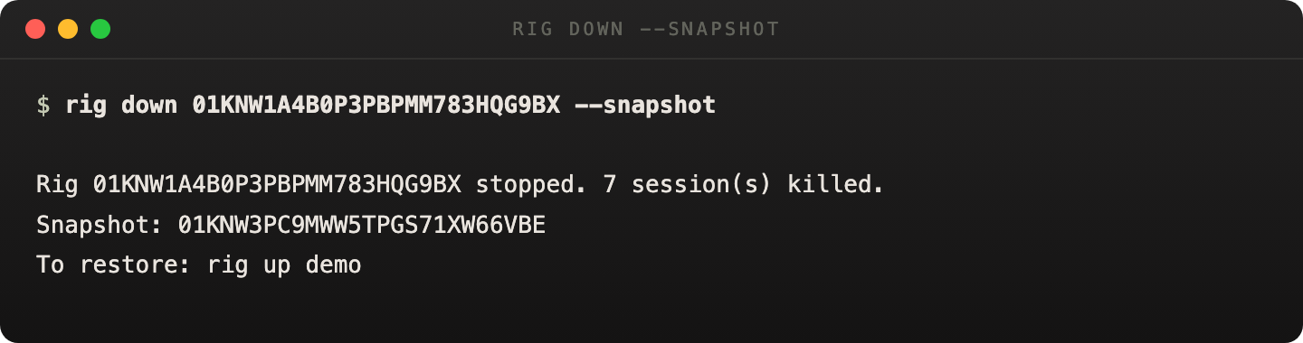 rig down with snapshot output showing a graceful teardown and restore hint
