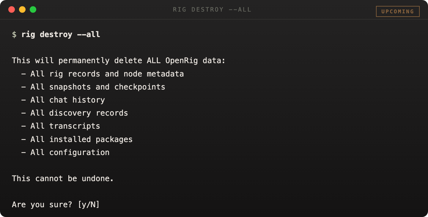 rig destroy all output showing a destructive full local reset plan and result